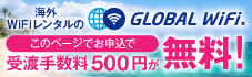 ����WI-FI�롼������󥿥�
